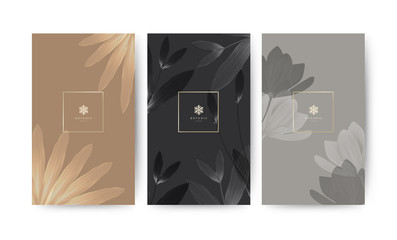 Set of minimal banner for branding packaging. Tropical summer plant and leaf with shadow background. For spa resort luxury hotel, yoga, beauty, cosmetic, organic texture. Ginkgo leaf drawing line, vec