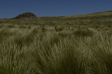 Paisaje, cuesta del portezuelo Catamarca