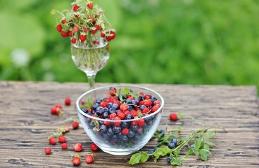 berries of wild strawberries and forest blueberries on a background of nature on an old rustic board. Country style. Soft focus. Space for text