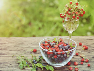 berries of wild strawberries and forest blueberries on a background of nature on an old rustic board. Country style. Soft focus. Space for text