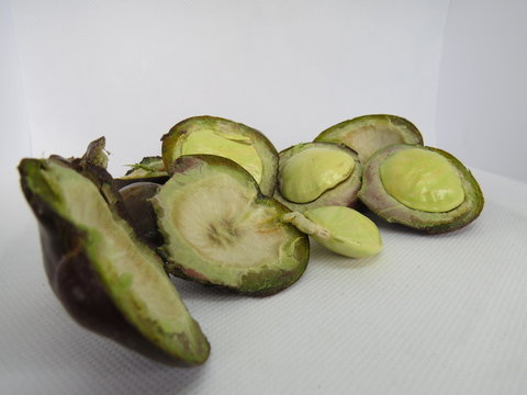 archidendron pauciflorum commonly known as jengkol or jering it is native to southeast asia