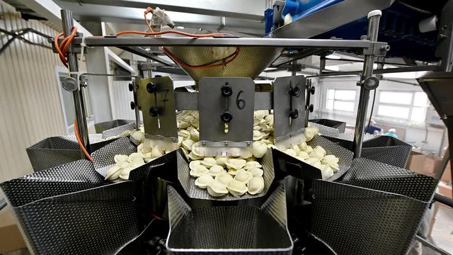 dumpling factory making process modern industry pelmeni