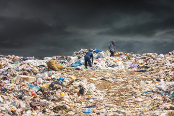 poor person collect garbage for sale because of poverty, garbage dump pile in trash dump or...