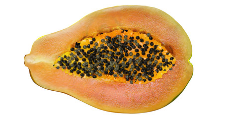 papaya