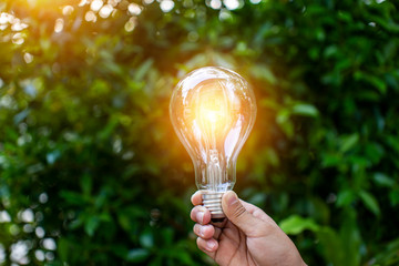 Light bulbs that grow, in the concept of energy in nature.