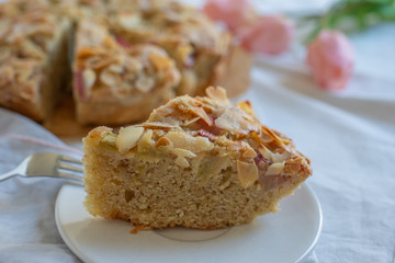 Home made Sweet Rhubarb cake with fresh rhubarb and cinnamon streusel