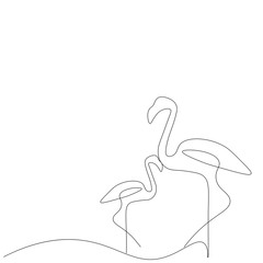 Flamingo bird line drawing on white background