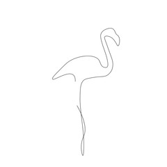 pink flamingo bird line drawing, vector illustration 