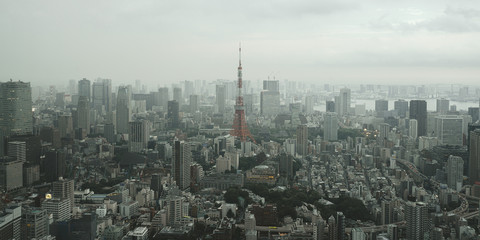 Fototapeta premium Tokyo Tower in Japan