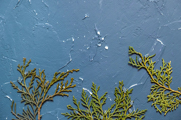 Dried flDry dots of thuja on a blue backgroundat juniper on a blue background