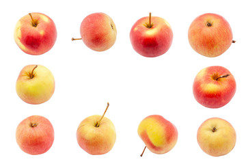 Many ripe apples of the same variety in a variety of positions and angles. Blank for design.