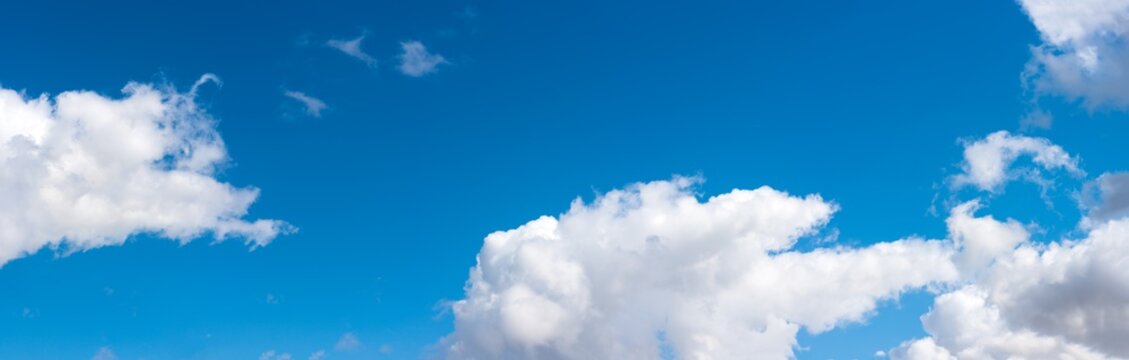 Detailed Rpghair Scene Nature Detailed Rpghair Scene Nature