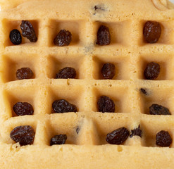 Waffles with Raisins 