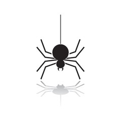 spider