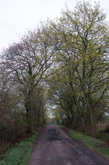Landschaft im Frühling