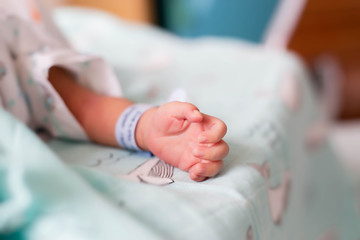 Small delicate little hand of newborn - close portrait