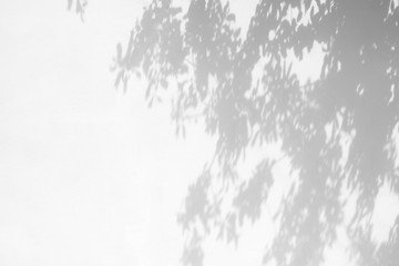 Blurred overlay effect for for natural light photo effects. Gray shadows of tree branches on a white textured wall. Abstract neutral nature concept background for poster design presentation. 