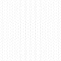 Grid pattern. Modern abstract geometric black and white texture with thin diagonal cross lines