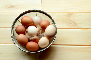 Eggs collected in a chicken coop. Chicken feather.