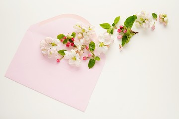 Obraz na płótnie Canvas Pink open envelope and spring flowers flying, greetings, Happy Mothers day, spring concept.
