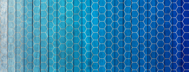 Structure alvéolaires sur fond bleu