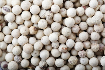 ホワイトペッパー粒