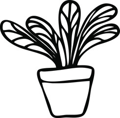 Flower pot for home interior