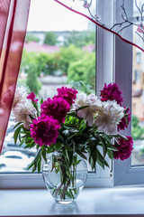 beautiful delicate bouquet of peonies on the window