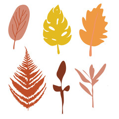 Colorful autumn leaves set isolated on white background. Flat style, vector illustration.