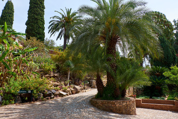 Fototapeta premium Marimurtra Botanical garden in Blanes, Catalonia.