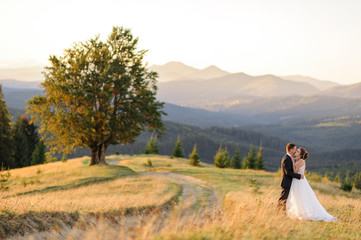 Wedding photography in the mountains. The newlyweds hug and look into each other's eyes against the background of a hundred-year-old beech.