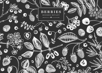 Hand drawn berries design on a chalkboard. Wild berries and flower template Hand drawing. Vintage forest plants sketch. Summer berries outline. 