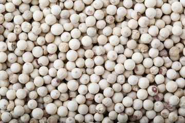 ホワイトペッパー粒