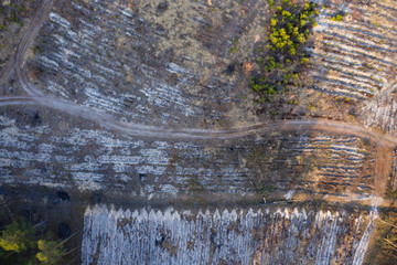 wild field, view from above