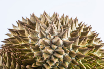 A durian king of fruit with sharp thorn on shell surface