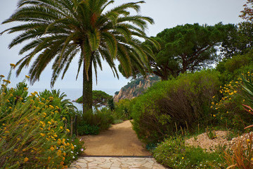 Obraz na płótnie Canvas Marimurtra Botanical garden in Blanes, Catalonia.