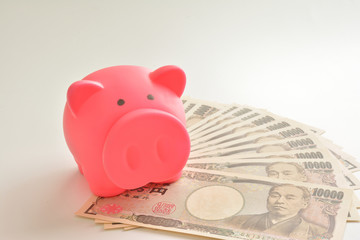 ピンクのブタの貯金箱