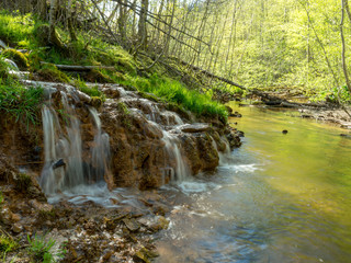 spring river waterfall,  stones, green moss and spring trees, David's sources, Latvia