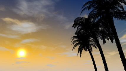Fototapeta na wymiar Dusk sky. Palm tree. Resort area. 3D illustration