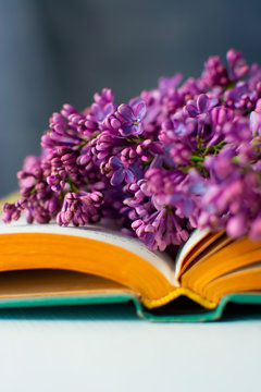 a sprig of lilac lies on the sheets of a book.
detailed book with flowers. 