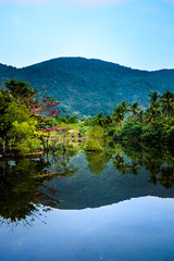 Fototapeta na wymiar Nature on Koh Chang, Thailand