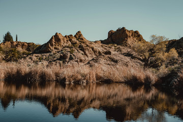 Desert Oasis