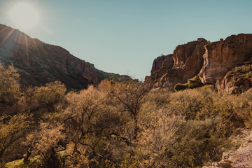Fototapeta premium Desert Landscape