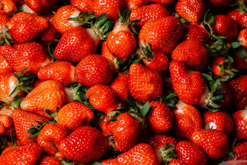 Fresh ripe strawberries close-up on a counter in the market. Environmentally friendly product. Red strawberry with green ponytails.