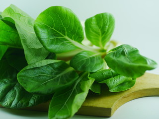 Pakcoy or bok choy (Brassica rapa) in white background 