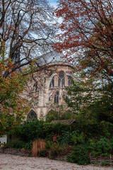 Fototapeta na wymiar View of Notre Dame Cathedral through the thickets of the square of Jean-XXIII, autumn Paris.