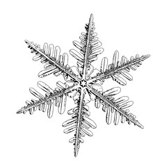 Snowflake isolated on white background. Illustration based on macro photo of real snow crystal: complex stellar dendrite with fine hexagonal symmetry, ornate shape and six thin, elegant arms.