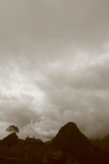 正に正真正銘ー天空都市　マチュピチュ（ペルー）