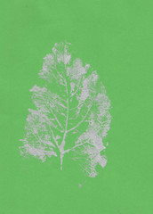 Spray leaf print