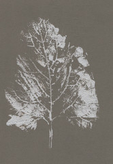 Spray leaf print
